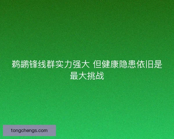 鹈鹕锋线群实力强大 但健康隐患依旧是最大挑战